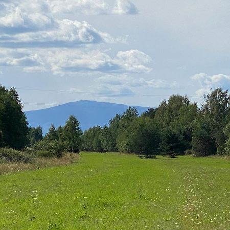 Goralskie Domki U Topora Czarny Dunajec Exteriér fotografie