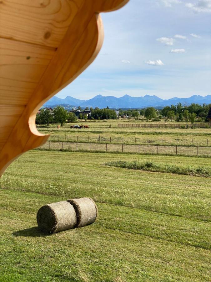 Goralskie Domki U Topora Czarny Dunajec Exteriér fotografie